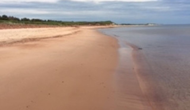 Tiny Perfect Cottage On PEI's North Shore